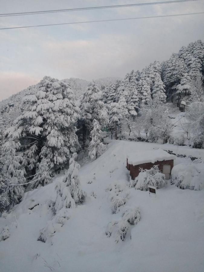 Hotel Green Orchid Udhampur ภายนอก รูปภาพ