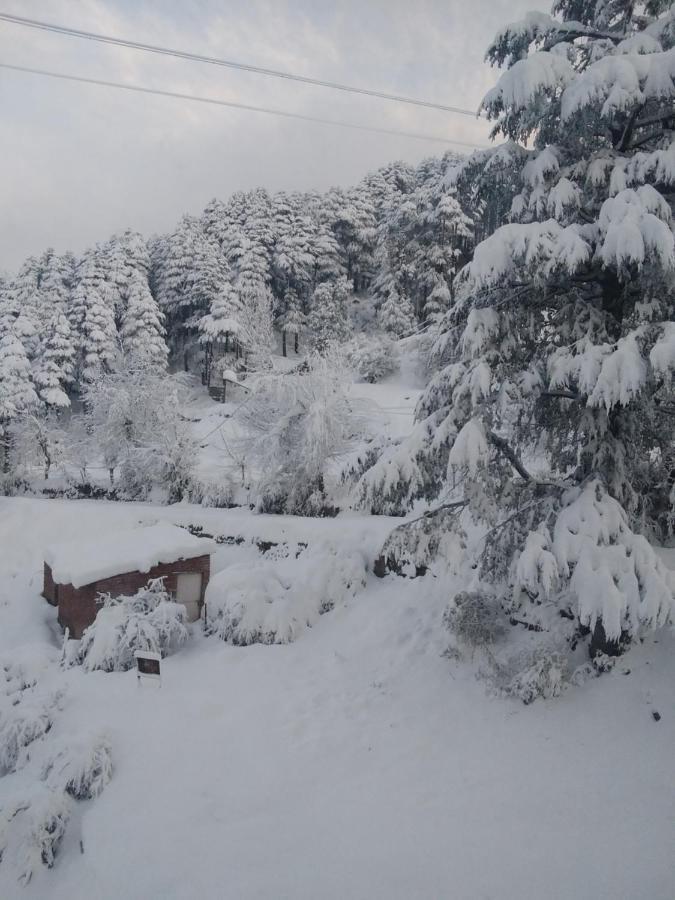 Hotel Green Orchid Udhampur ภายนอก รูปภาพ